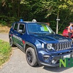 Biella, aveva con sé 70 grammi di cocaina: uomo fermato dai Carabinieri nei boschi (foto di repertorio)