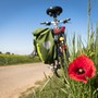 Leggi e pedala, a Candelo un libro in cambio di un giro in e-bike (foto di repertorio) Leggi e pedala, a Candelo un libro in cambio di un giro in e-bike (foto di repertorio)