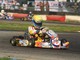 rally motori