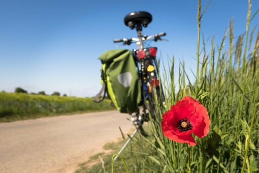 Leggi e pedala, a Candelo un libro in cambio di un giro in e-bike (foto di repertorio) Leggi e pedala, a Candelo un libro in cambio di un giro in e-bike (foto di repertorio)
