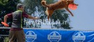 Velocità e intesa con il proprio cane: a Bielmonte va in scena il Campionato Nazionale di Disc Dog (servizio di Massimo Giacobbe per newsbiella.it)