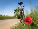 Leggi e pedala, a Candelo un libro in cambio di un giro in e-bike (foto di repertorio) Leggi e pedala, a Candelo un libro in cambio di un giro in e-bike (foto di repertorio)