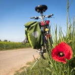 Leggi e pedala, a Candelo un libro in cambio di un giro in e-bike (foto di repertorio) Leggi e pedala, a Candelo un libro in cambio di un giro in e-bike (foto di repertorio)