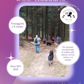 Torrazzo, una passeggiata in compagnia dei vostri amici a quattro zampe