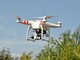 “Drone mania” ed effetti sulla natura. Uccelli stressati da droni, secondo uno studio della stazione ornitologica svizzera di Sempach