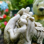 Biella piange la piccola Venere: aveva appena 3 anni Biella piange la piccola Venere: aveva appena 3 anni