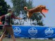 Velocità e intesa con il proprio cane: a Bielmonte va in scena il Campionato Nazionale di Disc Dog (servizio di Massimo Giacobbe per newsbiella.it) Velocità e intesa con il proprio cane: a Bielmonte va in scena il Campionato Nazionale di Disc Dog (servizio di Massimo Giacobbe per newsbiella.it)