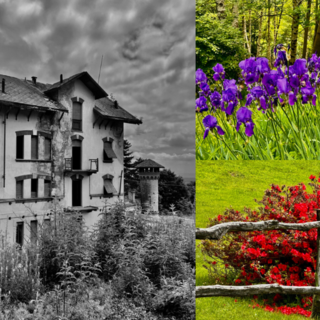 La Serra in e-bike: un percorso tra natura, tecnica e divertimento