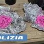 Lessona, 196 pastiglie di ecstasy e una serra di marijuana in casa, arrestato