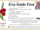 Ervy Guido Fava