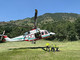 Dal Nord Ovest - Shock anafilattico per un cercatore di funghi punto dalle vespe (foto di repertorio) Dal Nord Ovest - Shock anafilattico per un cercatore di funghi punto dalle vespe (foto di repertorio)