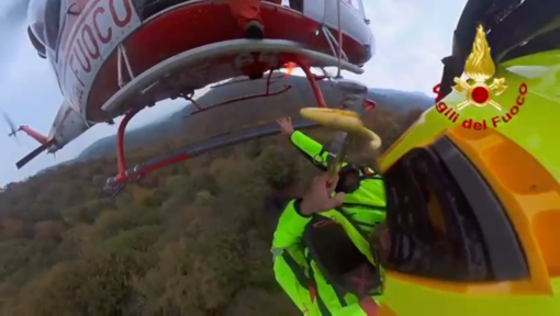 dispersi salvati dispersi salvati