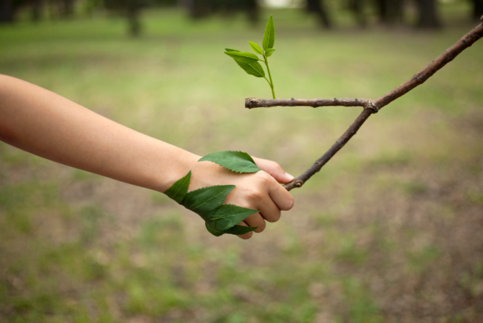 Giornata mondiale dell'educazione ambientale, a Oropa  “un caffè nel bosco”