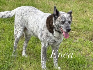 Siamo Marta ed Enea, possiamo raccontarti la nostra storia?