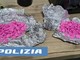 Lessona, 196 pastiglie di ecstasy e una serra di marijuana in casa, arrestato Lessona, 196 pastiglie di ecstasy e una serra di marijuana in casa, arrestato