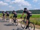 Ciclismo, la Fci dispone commissariamento della Lega che reagisce: “Atto ingiustificato” (foto di repertorio) Ciclismo, la Fci dispone commissariamento della Lega che reagisce: “Atto ingiustificato” (foto di repertorio)