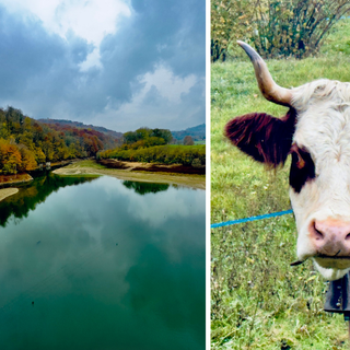 Valle Elvo in e-bike: cielo uggioso, natura e animali Valle Elvo in e-bike: cielo uggioso, natura e animali