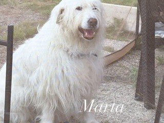 Siamo Marta ed Enea, possiamo raccontarti la nostra storia?