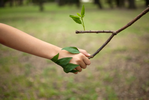 Giornata mondiale dell'educazione ambientale, a Oropa  “un caffè nel bosco”