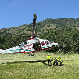 Dal Nord Ovest - Shock anafilattico per un cercatore di funghi punto dalle vespe (foto di repertorio)