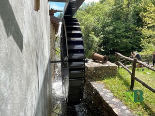 Grande interesse per la Giornata Europea dei Mulini e del Patrimonio Molitorio FOTO e VIDEO di Massimo Giacobbe per newsbiella.it
