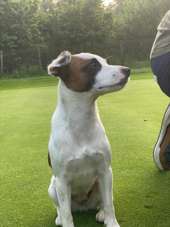 Ester scappata a Zubiena, aiutiamo a riportarla dalla sua piccola umana