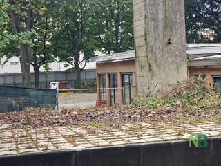 Addio alla vecchia scuola Cerruti a Biella, al via la demolizione FOTO Addio alla vecchia scuola Cerruti a Biella, al via la demolizione FOTO