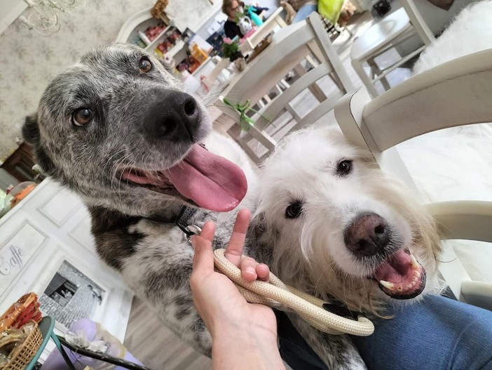 Siamo Marta ed Enea, possiamo raccontarti la nostra storia?