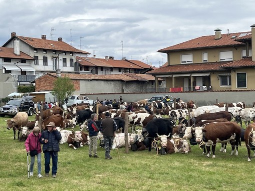 Ponderano, a Pasquetta torna la Fiera Zootecnica (foto di repertorio)