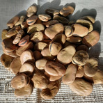 Gran Favata al Circolo “Su Nuraghe”: il Carnevale dei Sardi di Biella si apre con un piatto dalle radici antiche Gran Favata al Circolo “Su Nuraghe”: il Carnevale dei Sardi di Biella si apre con un piatto dalle radici antiche