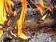 Sterpaglie a fuoco a Cossato, intervento dei Vigili del Fuoco Sterpaglie a fuoco a Cossato, intervento dei Vigili del Fuoco