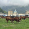 A Oropa la Fiera di San Bartolomeo, due giorni di tradizioni e cultura alpina (foto e video di Massimo Giacobbe in esclusiva per Newsbiella.it) A Oropa la Fiera di San Bartolomeo, due giorni di tradizioni e cultura alpina (foto e video di Massimo Giacobbe in esclusiva per Newsbiella.it)