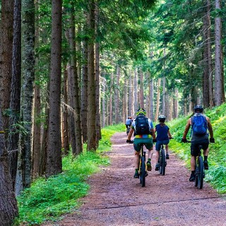 uso bici auser cossato