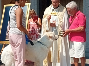 Cossato, San Rocco tra festa e siccità: "Preghiamo anche per la pioggia" Cossato, San Rocco tra festa e siccità: "Preghiamo anche per la pioggia"