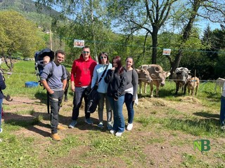 Valdilana, Fiera Zootecnica della Brughiera: oggi l’evento “Tradizioni d’allevamento” FOTO e VIDEO di Massimo Giacobbe per newsbiella.it