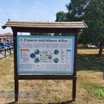 candelo albero candelo albero