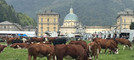 A Oropa la Fiera di San Bartolomeo, due giorni di tradizioni e cultura alpina (foto e video di Massimo Giacobbe in esclusiva per Newsbiella.it)
