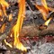 Sterpaglie a fuoco a Cossato, intervento dei Vigili del Fuoco Sterpaglie a fuoco a Cossato, intervento dei Vigili del Fuoco