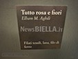 Biella, l’arte incontra l’alto artigianato con “Fatti ad Arte” FOTO e VIDEO Angela Lobefaro per newsbiella.it