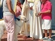 Cossato, San Rocco tra festa e siccità: "Preghiamo anche per la pioggia" Cossato, San Rocco tra festa e siccità: "Preghiamo anche per la pioggia"