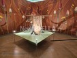 Biella, l’arte incontra l’alto artigianato con “Fatti ad Arte” FOTO e VIDEO Angela Lobefaro per newsbiella.it