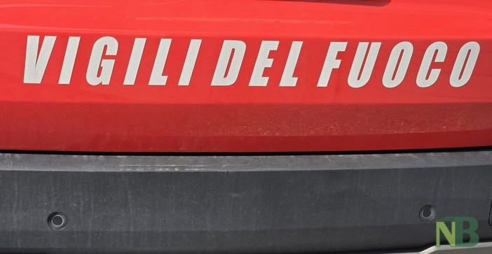 FP CGIL Vigili del Fuoco: "Servono più assunzioni, prevenzione e investimenti nel soccorso pubblico" FP CGIL Vigili del Fuoco: "Servono più assunzioni, prevenzione e investimenti nel soccorso pubblico"