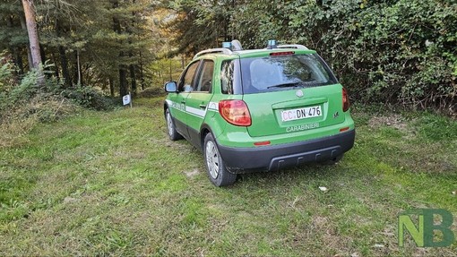 Acqua rossa al laghetto di Piatto: in corso le analisi dell’ARPA Acqua rossa al laghetto di Piatto: in corso le analisi dell’ARPA