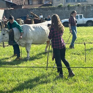 Pasquetta a Ponderano: la Fiera Zootecnica torna protagonista tra tradizione, animali e stand (servizio di Massimo Giacobbe)