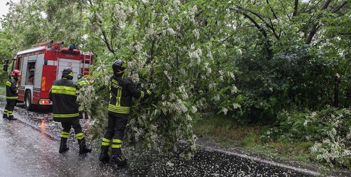 ramo biella ramo biella