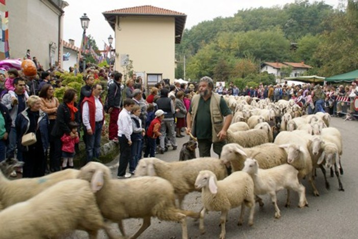 Alcuni momenti dell'edizione scorsa