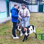 Sant’Antonio Abate, anche Castelletto Cervo celebra la tradizione - Servizio di Riccardo Tosi per newsbiella.it Sant’Antonio Abate, anche Castelletto Cervo celebra la tradizione - Servizio di Riccardo Tosi per newsbiella.it