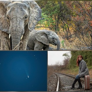 Cerrione, il Fotogruppo Riflessi porta in scena “Emozioni Fotografiche” a Vergnasco