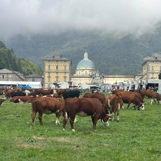 A Oropa la Fiera di San Bartolomeo, due giorni di tradizioni e cultura alpina (foto e video di Massimo Giacobbe in esclusiva per Newsbiella.it)