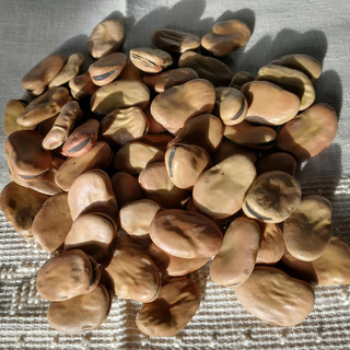 Gran Favata al Circolo “Su Nuraghe”: il Carnevale dei Sardi di Biella si apre con un piatto dalle radici antiche